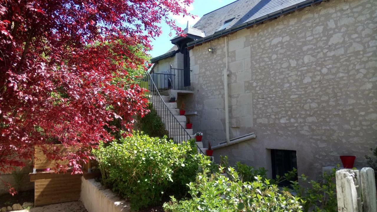 Gites Et Chambres Des Coteaux Sainte-Maure-de-Touraine Luaran gambar